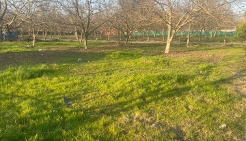 TERRENO LOS NOGALES 400M2