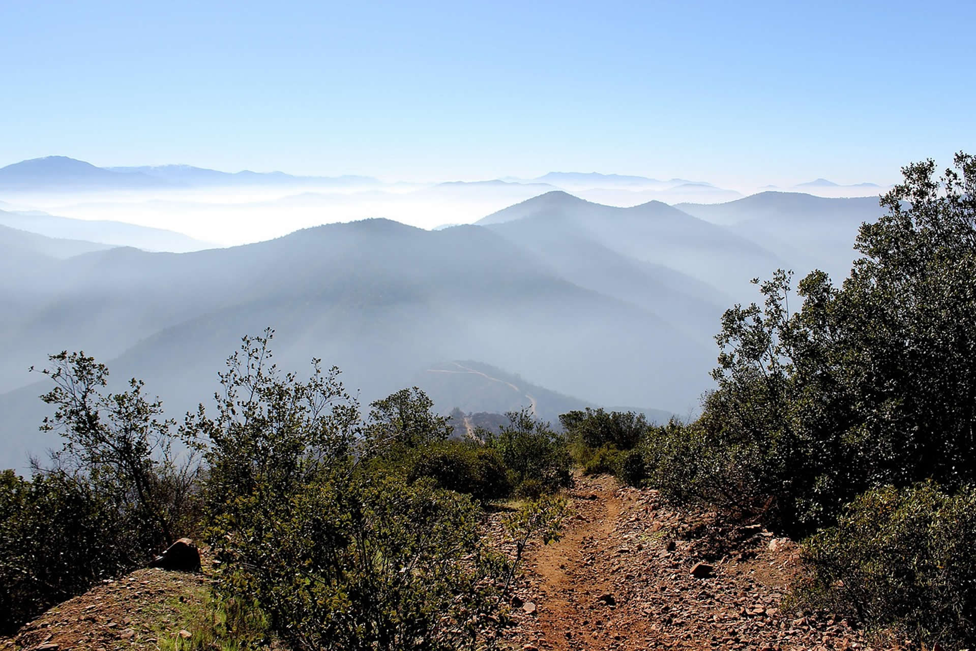 El Futuro de las Zonas Rurales: Oportunidades de Inversión en Parcelas